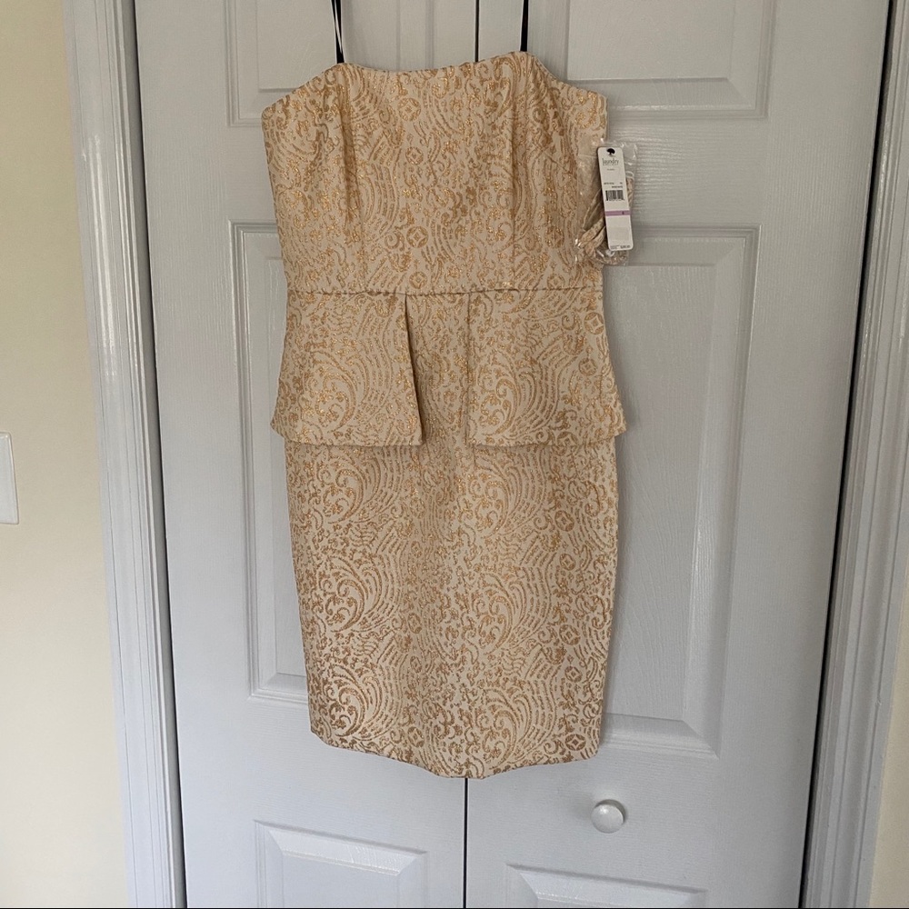 Never Worn Gold Dress